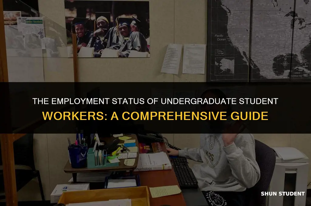 are undergrad student employees employees