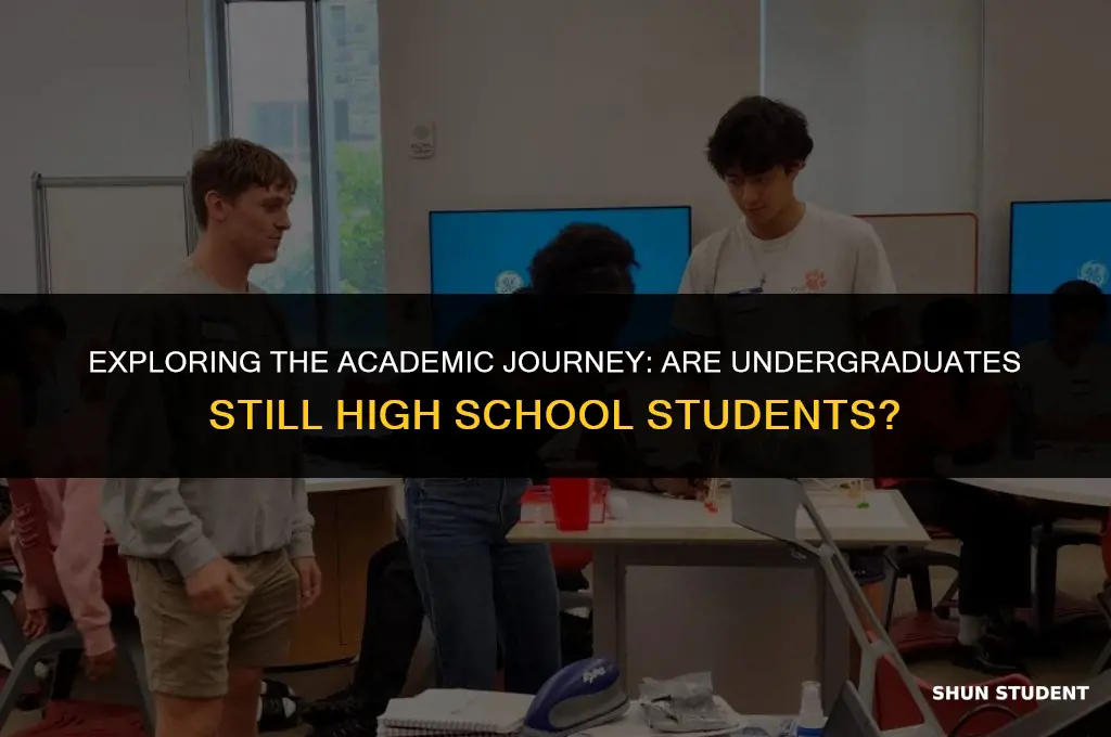 are undergraduate highschool students