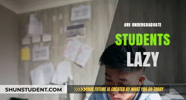Exploring the Myth: Are Undergraduate Students Truly Lazy?