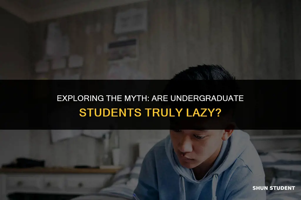 are undergraduate students lazy