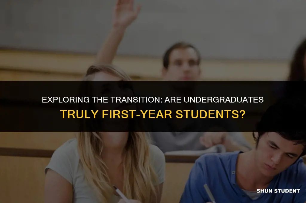 are undergraduates first year students