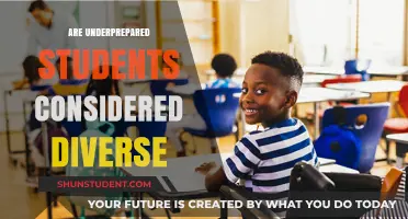 Diversity in Education: Addressing the Myth of Underprepared Students