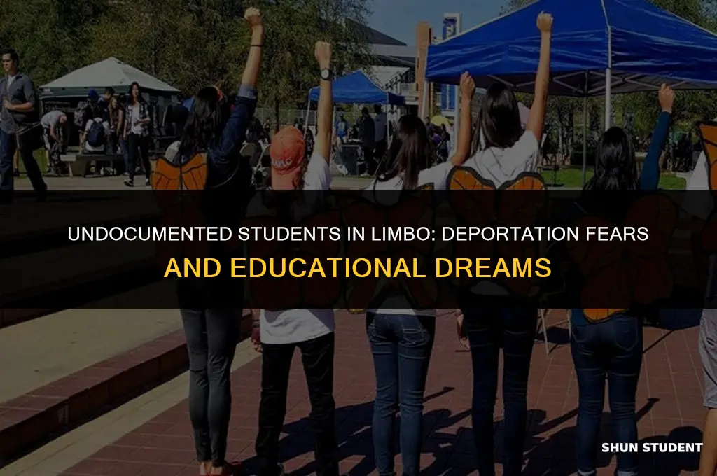 are undocumented students being deported