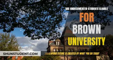 Undocumented Students: Can They Enroll at Brown University?