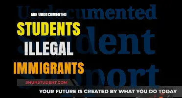 Understanding the Status of Undocumented Students: A Comprehensive Guide