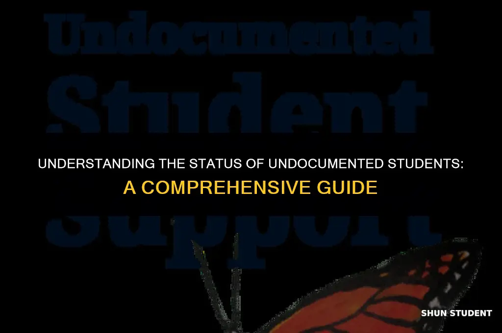 are undocumented students illegal immigrants