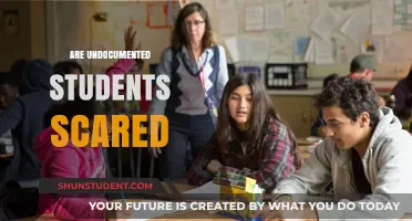 Voices of Fear: The Plight of Undocumented Students in America