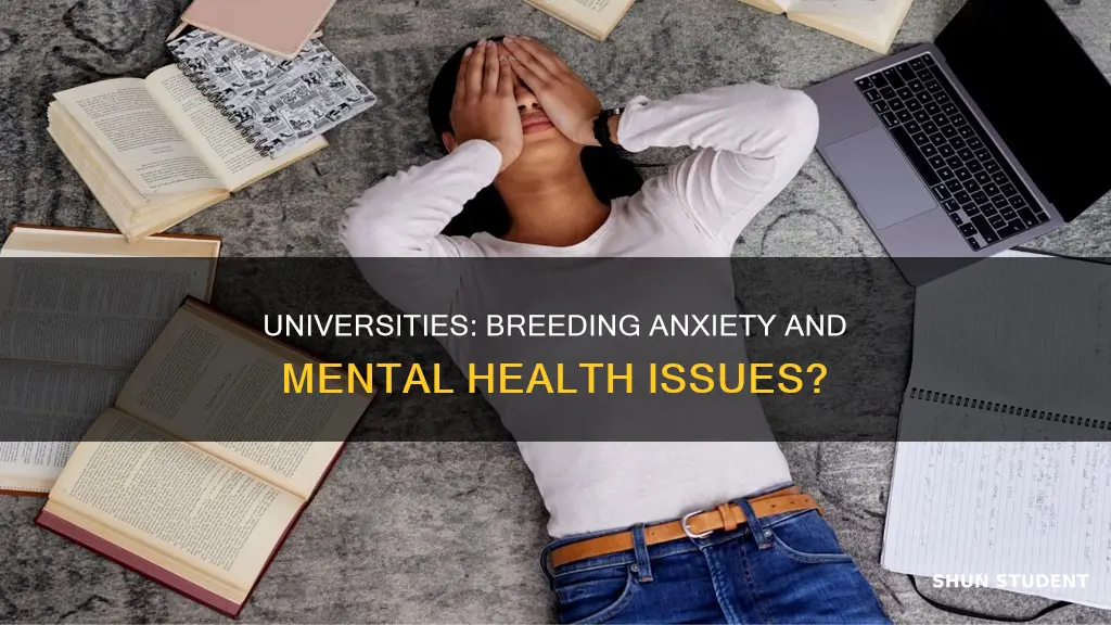 are universities causing anxiety and mental problems to students