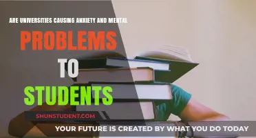 University Stress: Breeding Anxiety and Mental Health Issues?