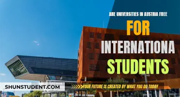 International Students in Austria: Free University Education?