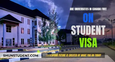 Canadian Student Visas: Free University Education Explained