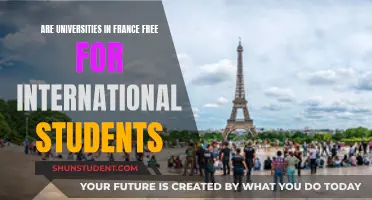 International Students: Free University Education in France?