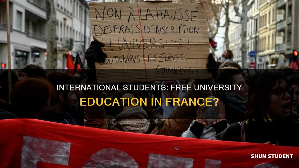 are universities in france free for international students