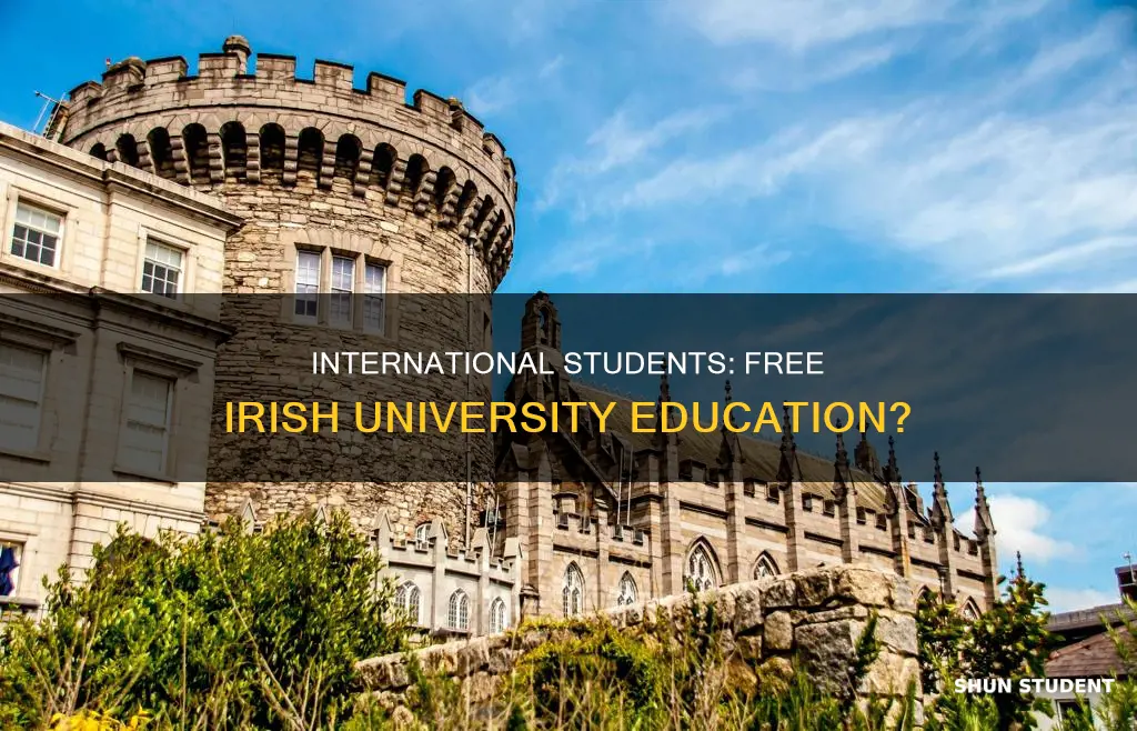 are universities in ireland free for international students