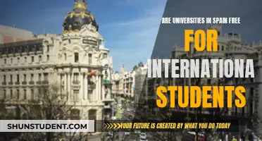 International Students in Spain: Free University Education?