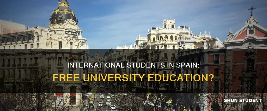 are universities in spain free for international students