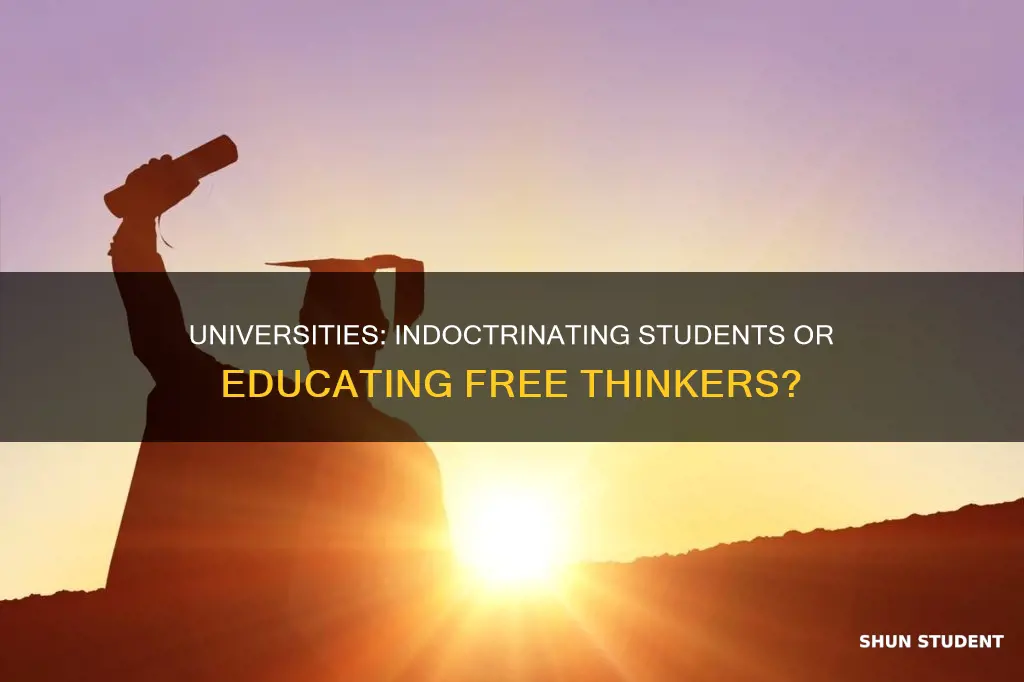 are universities indoctrinating students