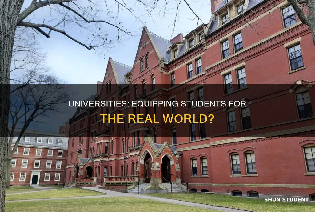 are universities preparing students for the real world