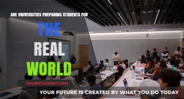 Preparing Students for the Real World: Are Universities Enough?