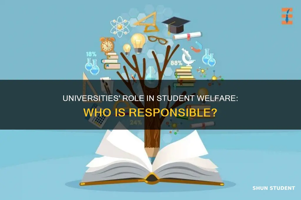 are universities responsible for their students