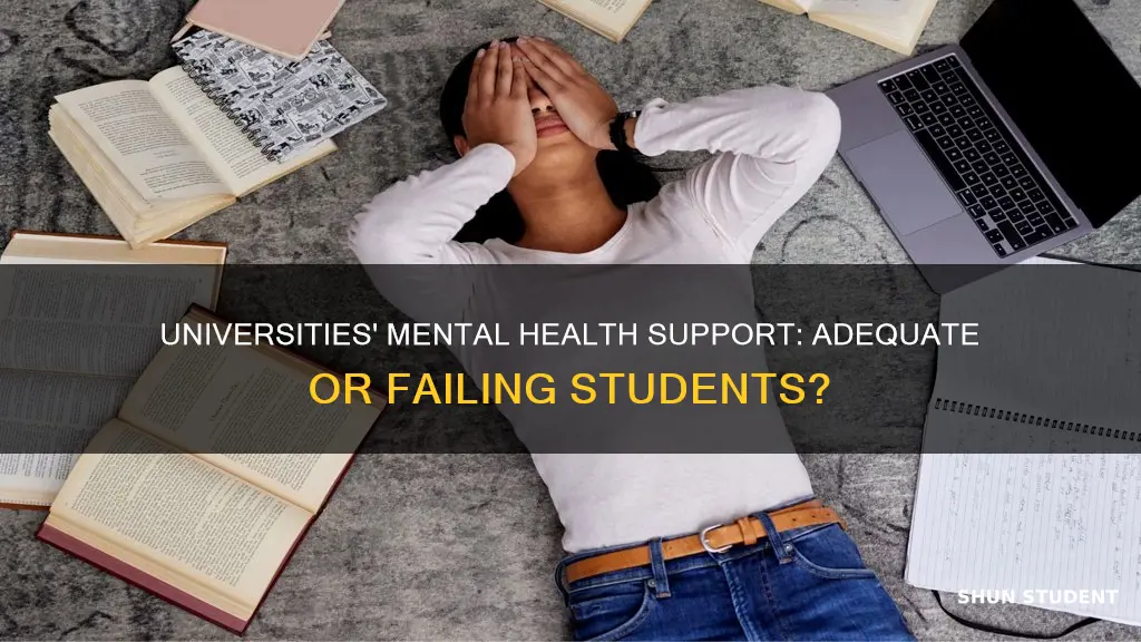 are universities supporting students mental health enough