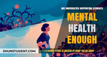 Universities: Are They Doing Enough for Student Mental Health?