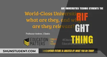 What Students Learn: Are Universities Teaching Relevant Skills?