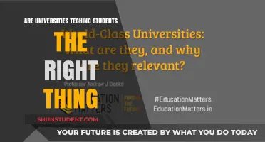 What Universities Teach: Are They Future-Proofing Students?