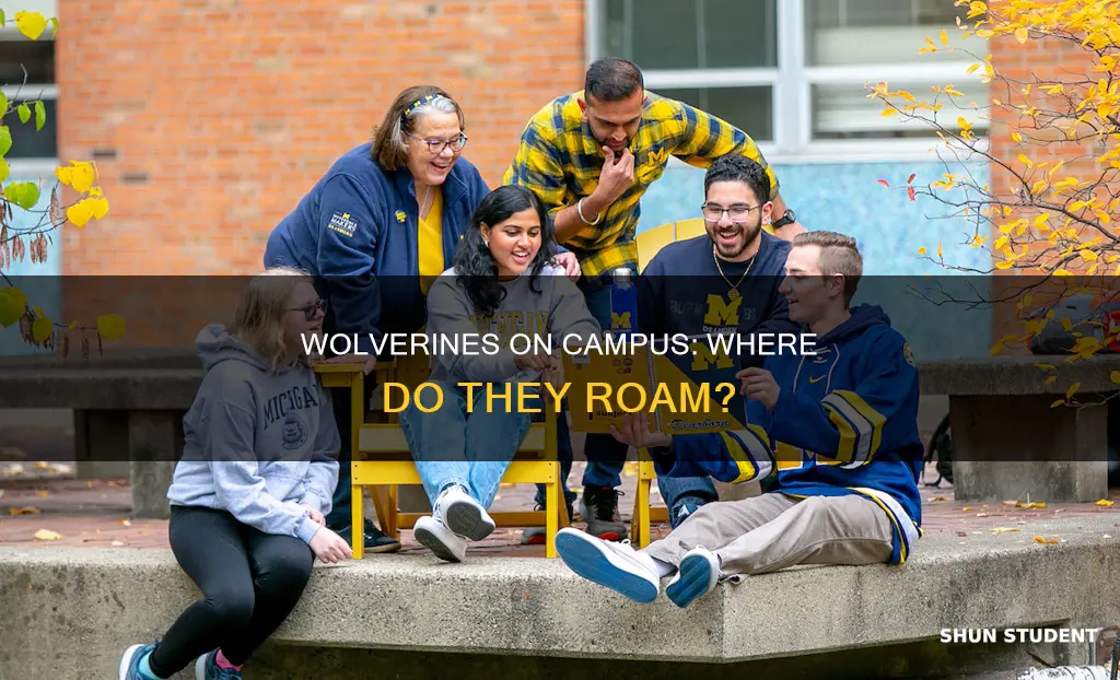 are university of michigan students on campus