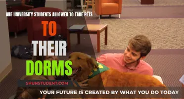 Pet Policies in University Dorms: Are Furry Friends Allowed?