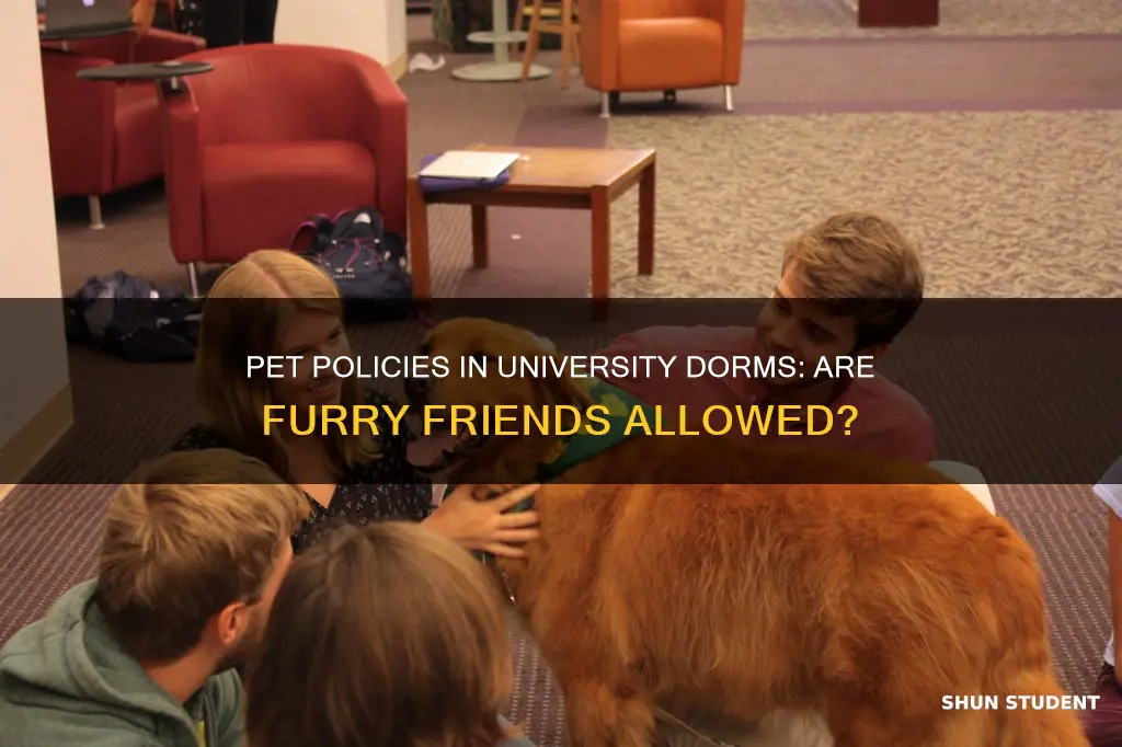 are university students allowed to take pets to their dorms