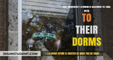 Pet Policies: Can Students Bring Pets to Dorms?
