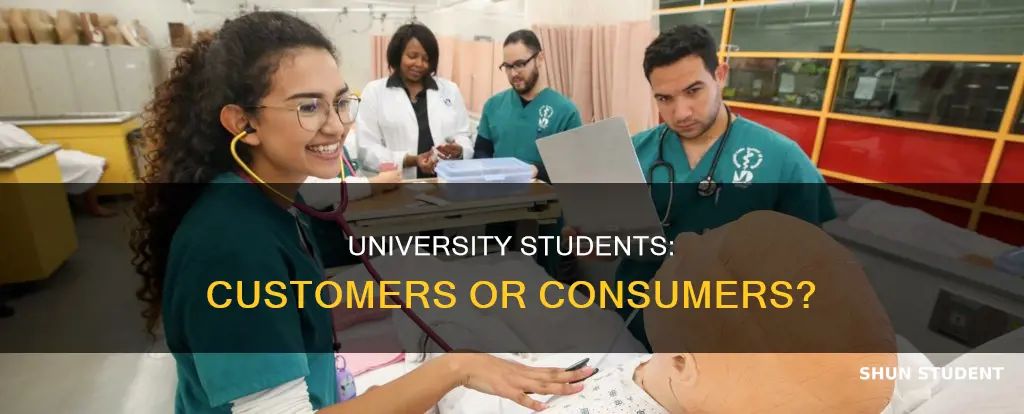 are university students consumers