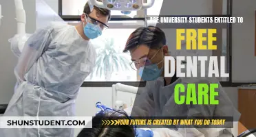 University Students: Free Dental Care, Who's Eligible?