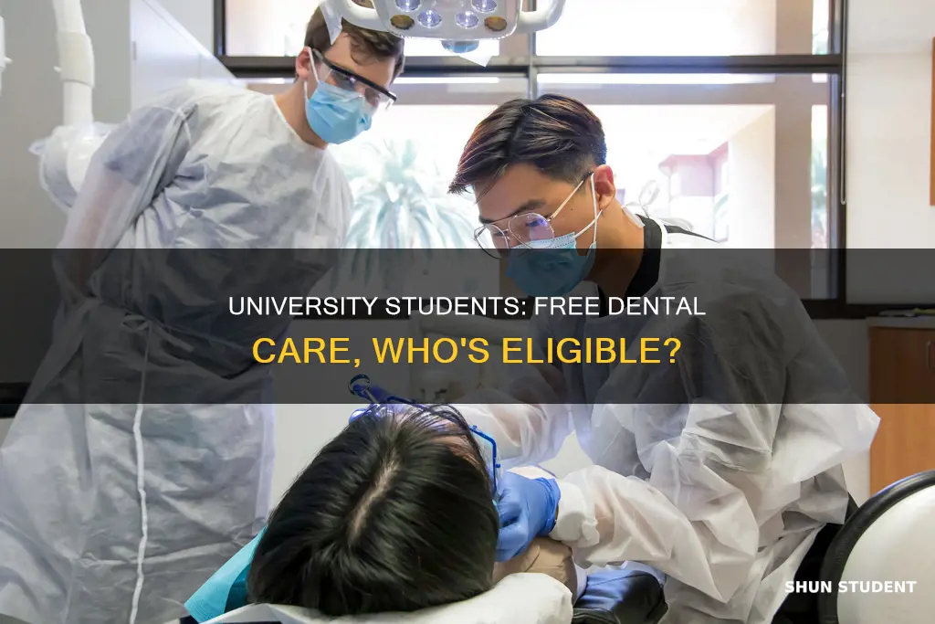 are university students entitled to free dental care