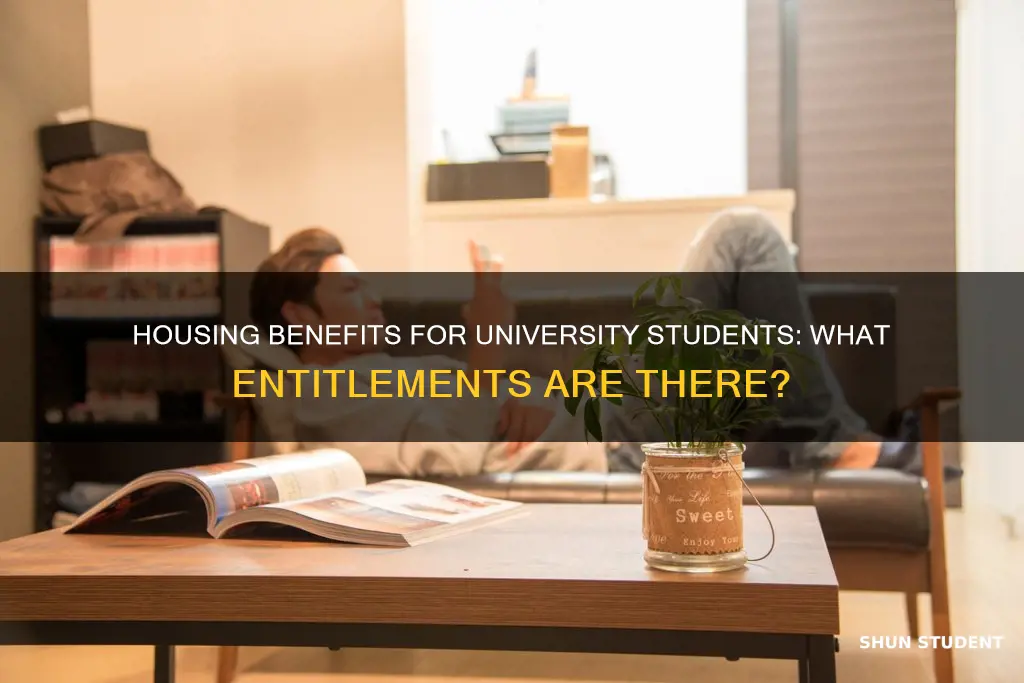 are university students entitled to housing benefit