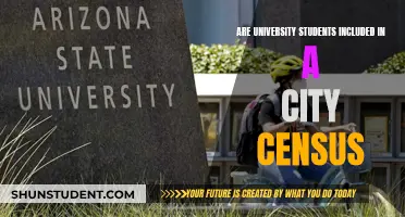 University Students: Who Counts in a City Census?