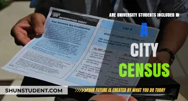 Who Counts in a City Census? University Students' Confusion