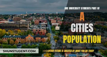 University Students: A City's Population or Temporary Residents?