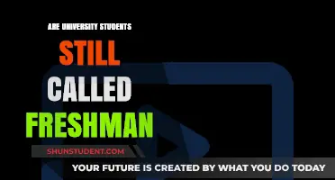 University Students: Are Freshmen Still Fresh?