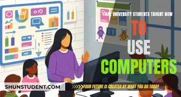 University Students and Computer Literacy: Essential or Not?