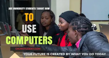 Computer Skills: University Education's Missing Link?