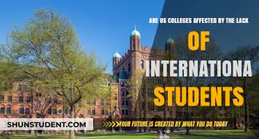 Impact of Missing International Students on US Colleges
