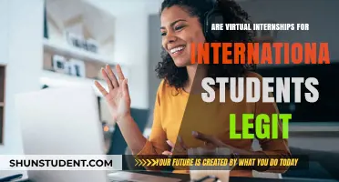 Virtual Internships: Legit Opportunities for International Students?