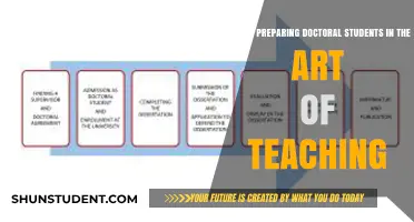 Preparing Doctoral Students: Are We Teaching the Art of Teaching?