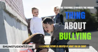 Rethinking Bullying Education: Are Schools Missing the Mark?