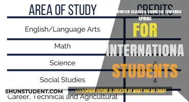 Winter Classes: Spring Semester Credit for International Students?