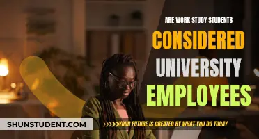 Work-Study Students: University Employees or Not?