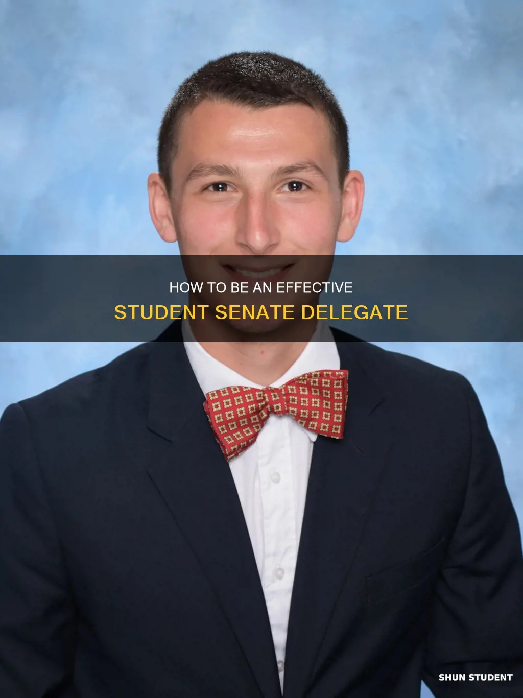 are you a university student senate delegate or alternate