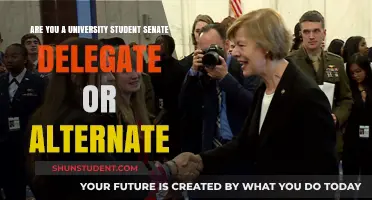 How to Be an Effective Student Senate Delegate